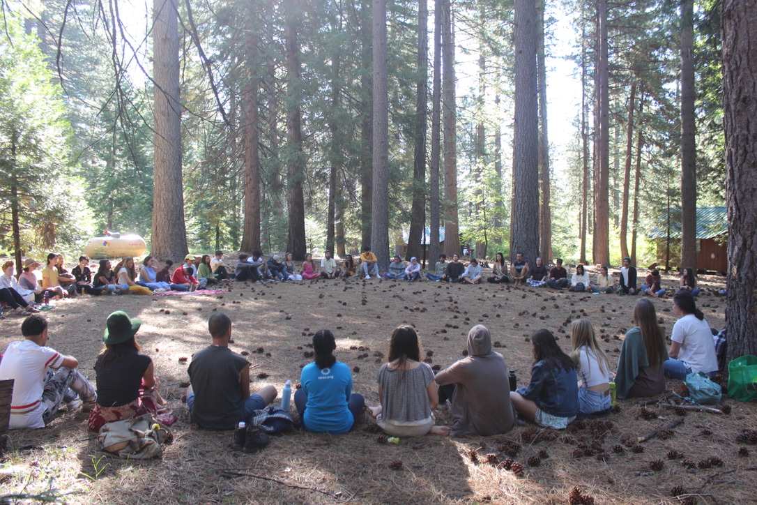 The Intelligence of the Heart